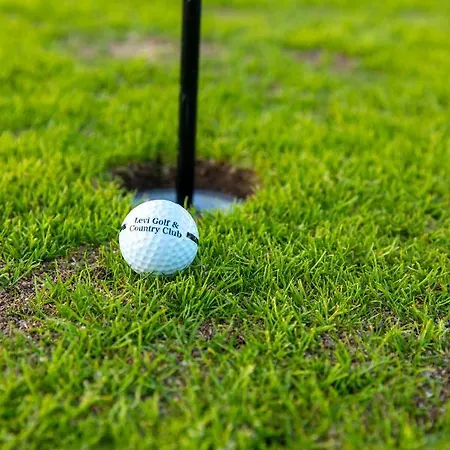 Lejlighed In Lapland - Sointuilevi A71